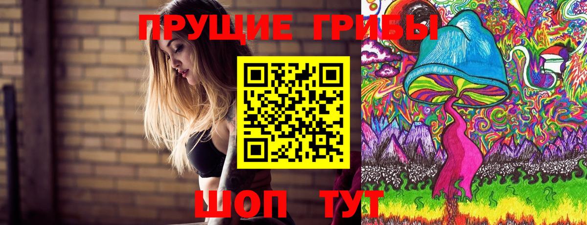 Карпинск  Псилоцибиновые грибы прущие грибы  Вход с VPN 